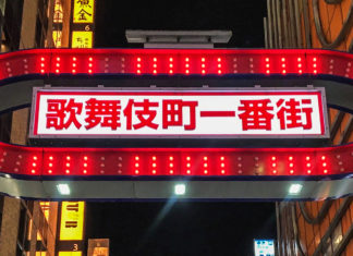 An Intimate Guide to Kabukicho