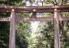 Meiji Shrine: Serenity Amid The Urban Sprawl