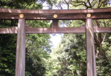 Meiji Shrine: Serenity Amid The Urban Sprawl