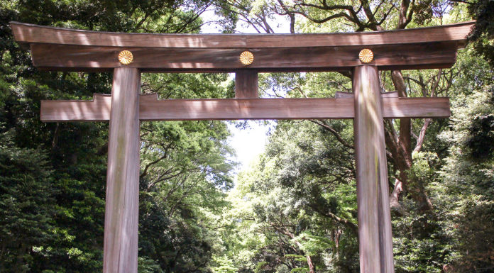 Meiji Shrine: Serenity Amid The Urban Sprawl