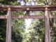 Meiji Shrine: Serenity Amid The Urban Sprawl