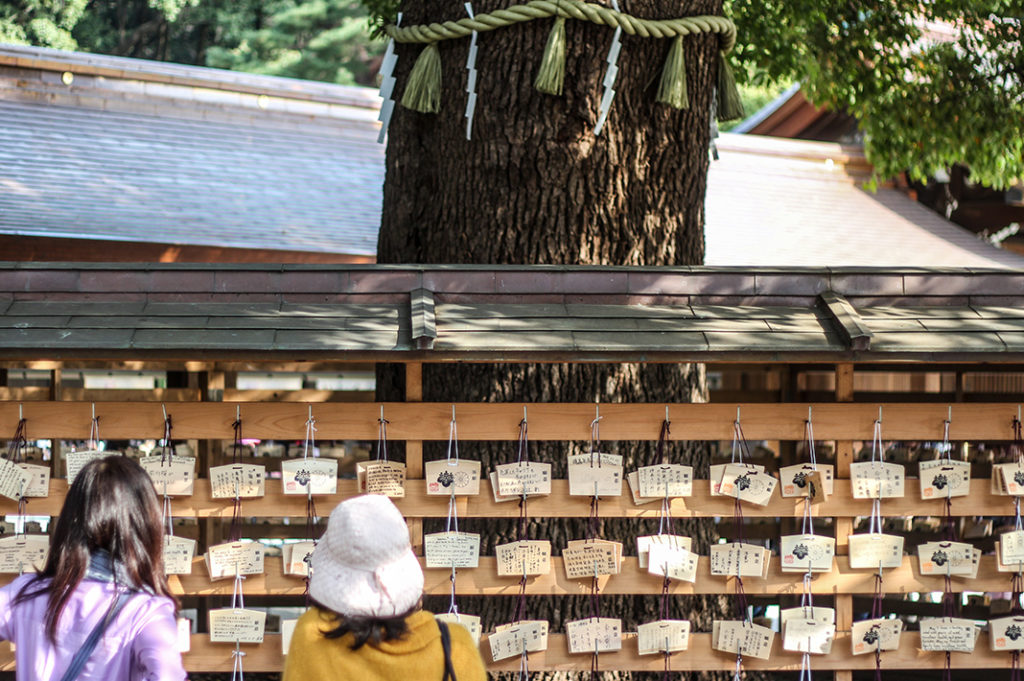 Wooden ema at Meiji Shrine in Tokyo