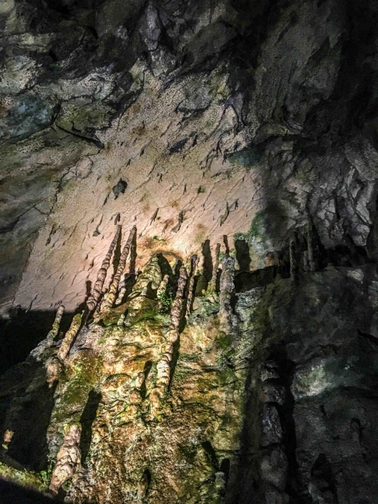Nippara Limestone Cave, the largest Tokyo Cave