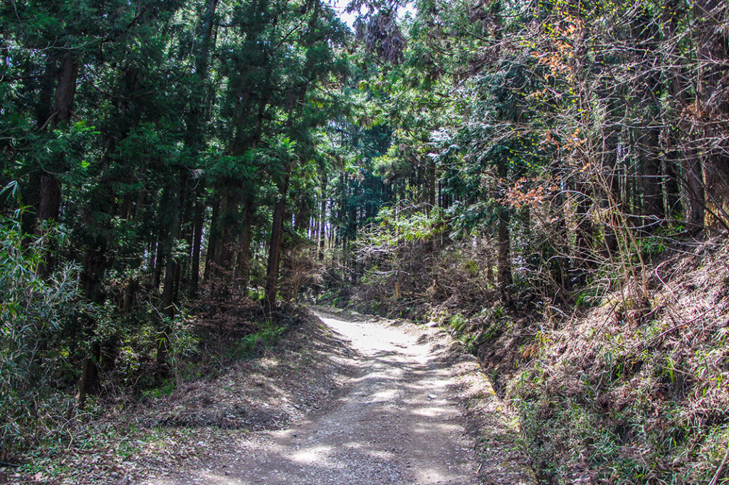 Hiking Hodosan in Saitama