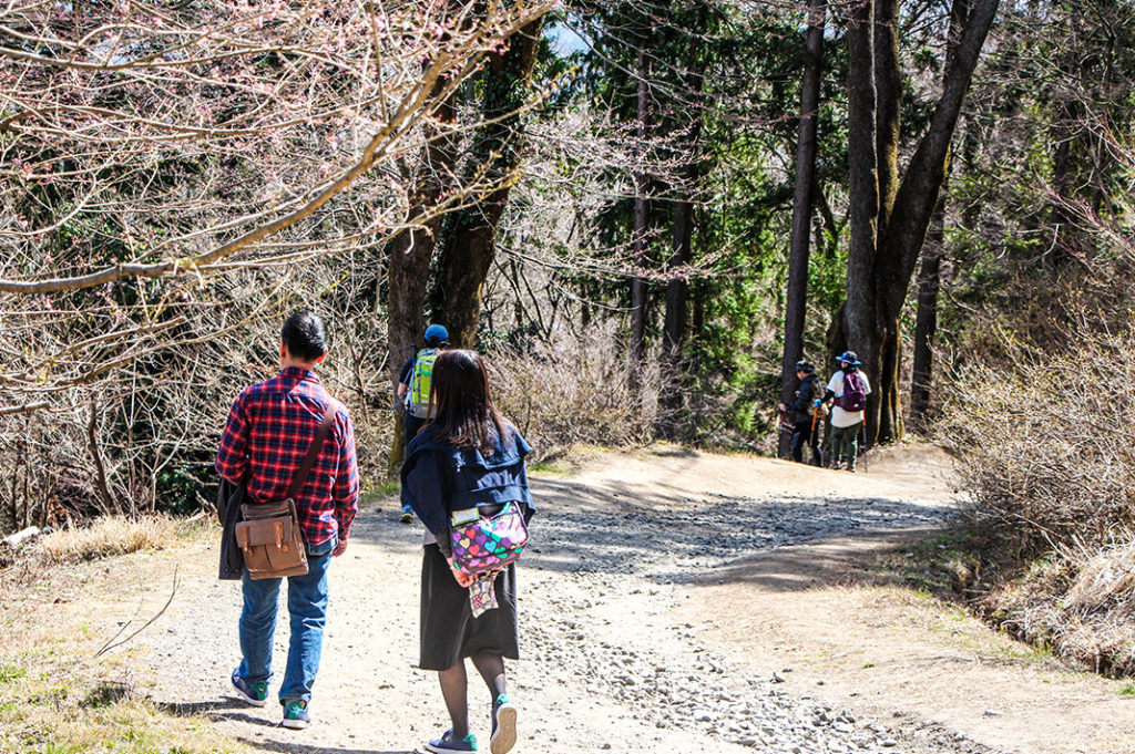 Hiking Hodosan in Saitama