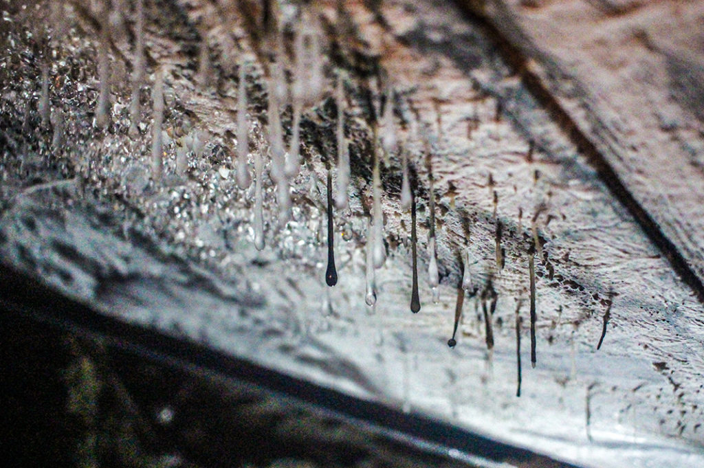 The Mystical Taya Caves At Josen Ji Temple Yokohama Japan Journeys