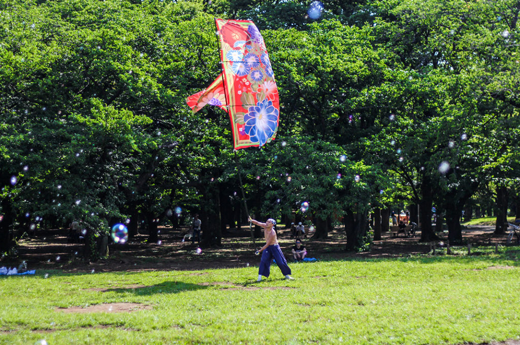 Leisure activities at Yoyogi Park, Tokyo