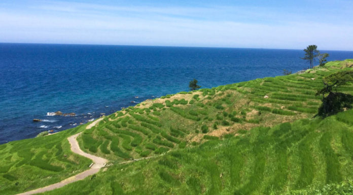 Noto Peninsula Drive, A Day Trip From Kanazawa