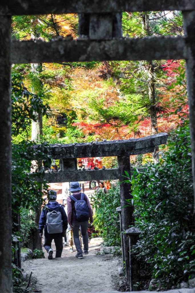 Momijidani park on Miyajima is one of the best spots to see Autumn colours in Japan