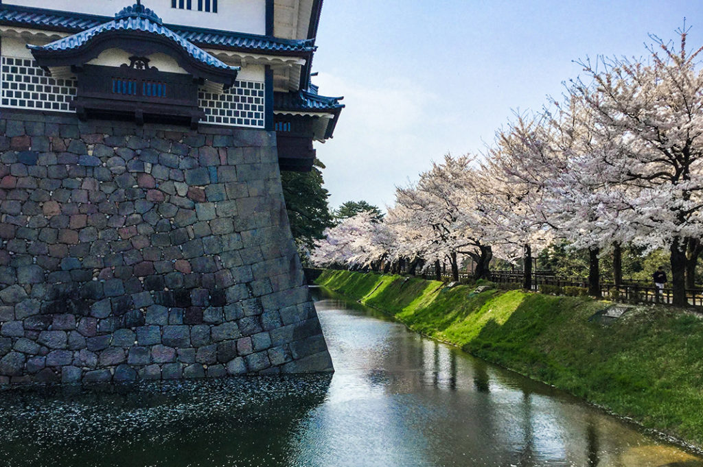 Sakura line the moats of Kanazawa Castle