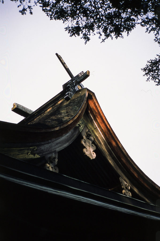 The first shrine you'll see on the island is the Munakata Nakatsugu.