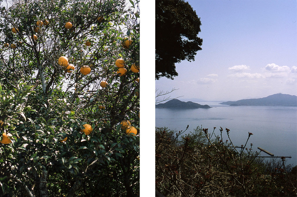 More than half of Oshima island is classed as 'hilly' and these hilltops offer stunning views of the surrounding seas and islands.