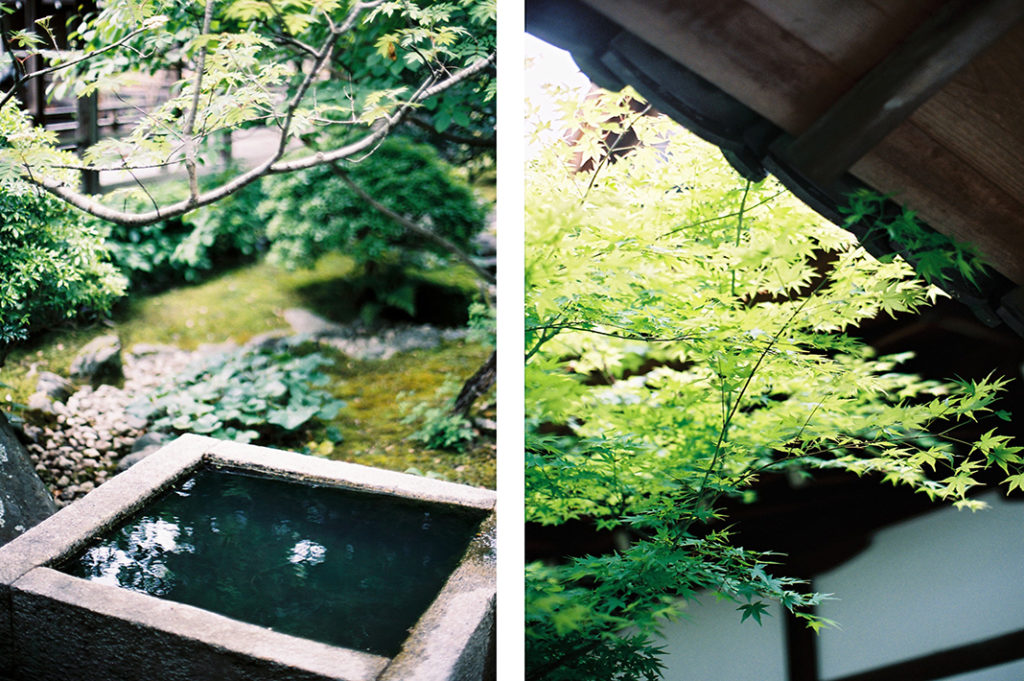 Nanzen-ji's lush gardens are bright green in May.
