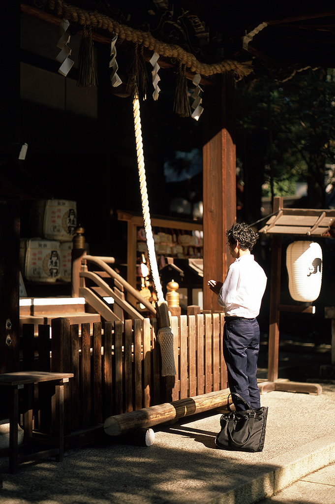 Okazaki's peaceful grounds are bathed in soft sunlight and planted with cherry trees.