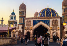 A Magical Guide to Tokyo DisneySea