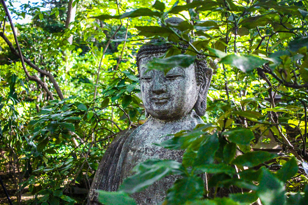 Ancient Art and Tranquil Gardens at Nezu Museum