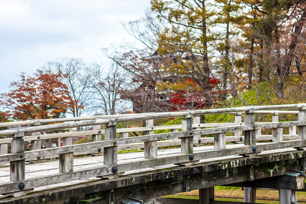 The Gokuraku Bridge in Takada Park