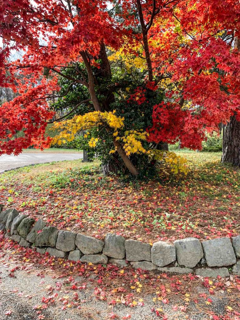 Takada Park in Autumn, Joetsu, Niigata, Japan
