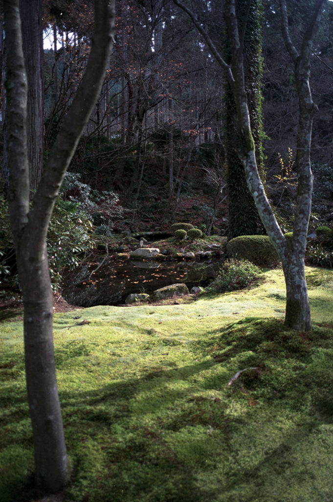 The moss gardens of Ohara Sanzen-in hold legendary status throughout Japan.