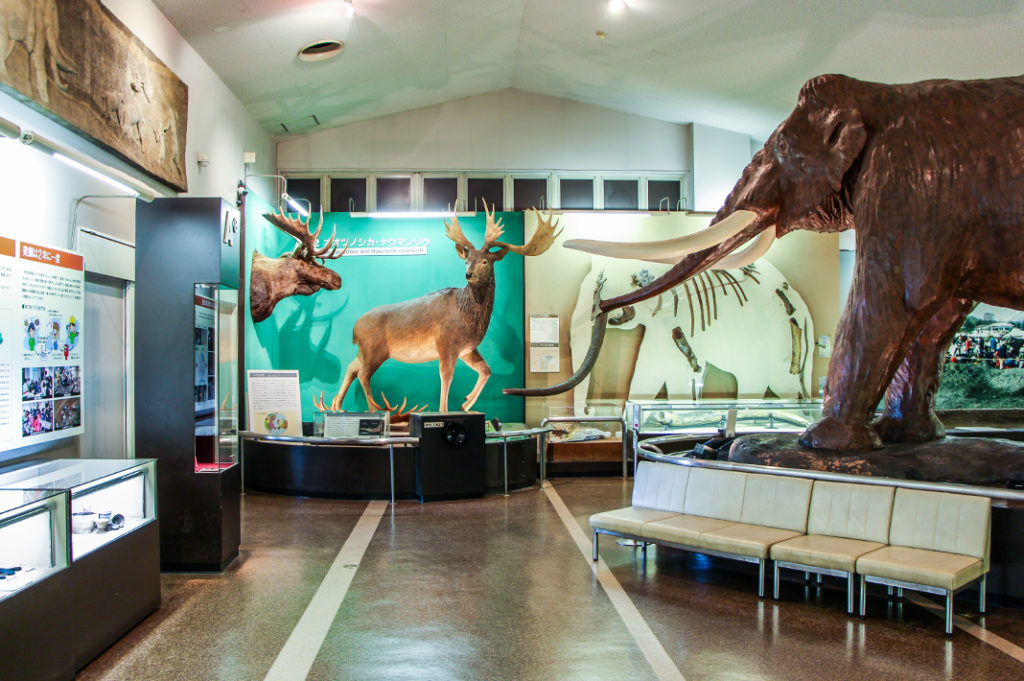 The display at Nojiriko Naumann Elephant Museum