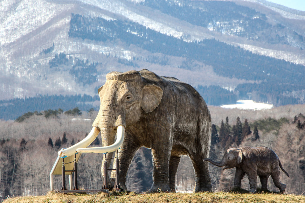 The elephant statue in town, not far from the shores of Lake Nojiri