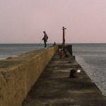 Fish and Tranquility? You’ve Never Been to Oshima!