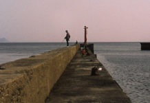 Fish and Tranquility? You’ve Never Been to Oshima!