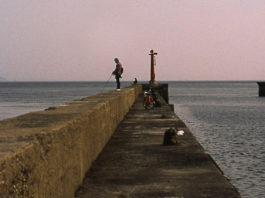 Fish and Tranquility? You’ve Never Been to Oshima!