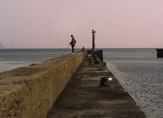 Fish and Tranquility? You’ve Never Been to Oshima!