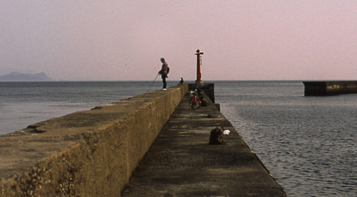 Fish and Tranquility? You’ve Never Been to Oshima!