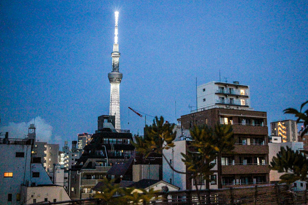 Tokyo ryokan with city views 