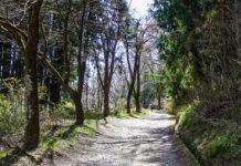 A Family-Friendly Hike (And More!) on Hodosan