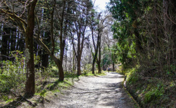A Family-Friendly Hike (And More!) on Hodosan