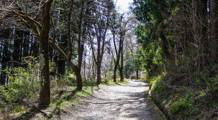 A Family-Friendly Hike (And More!) on Hodosan