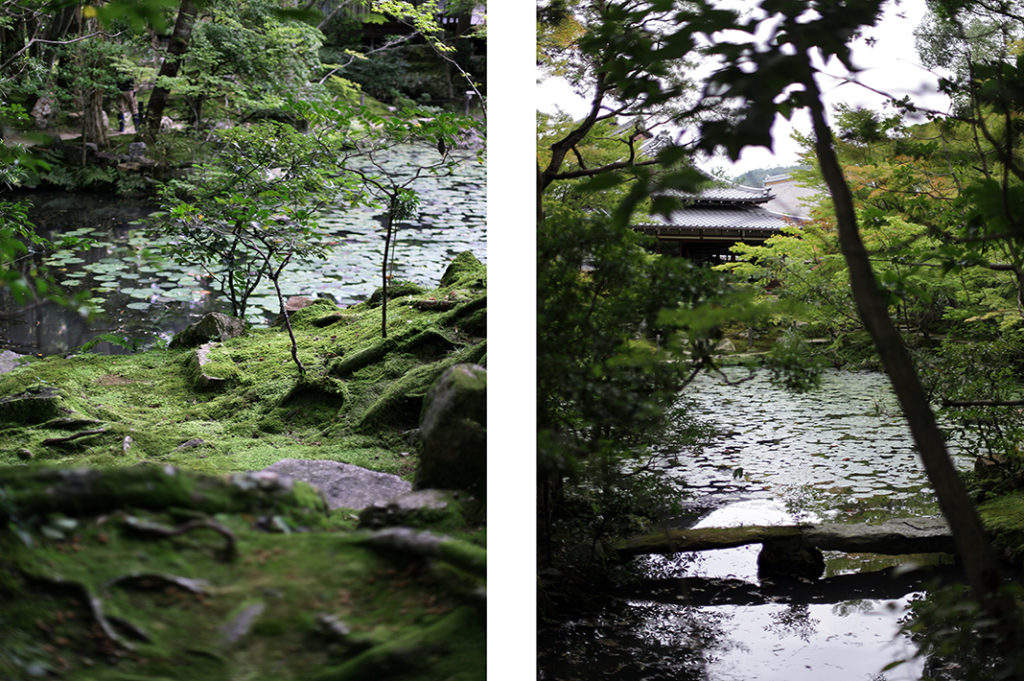 The lower garden features an expansive landscaped koi pond, shrouded by maples and set against mossy hillocks. Tags: Tenju-an, reflection, Nanzen-ji