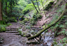 Mt. Mitake: A One-Day Itinerary for Nature and Serenity