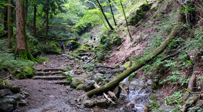 Mt. Mitake: A One-Day Itinerary for Nature and Serenity