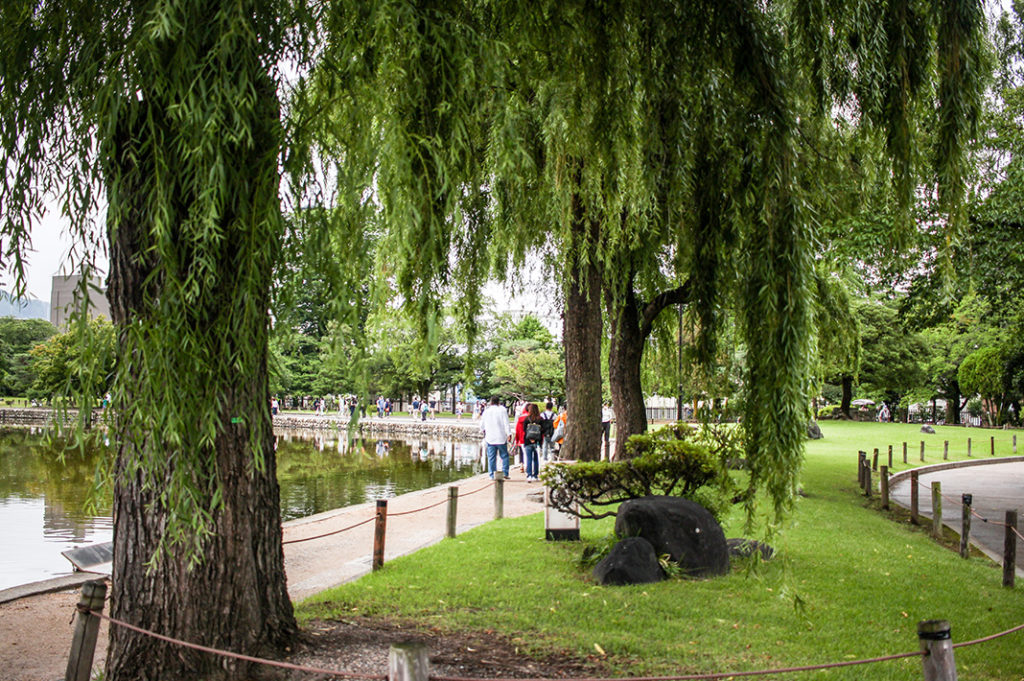 Leafy castle grounds