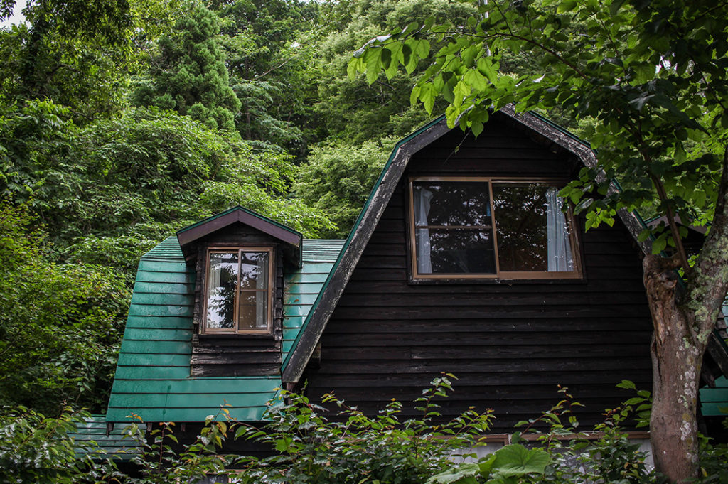 Cabins in the International Village