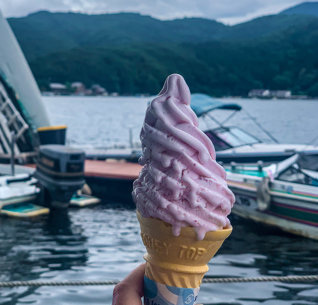 Blueberry frozen yoghurt