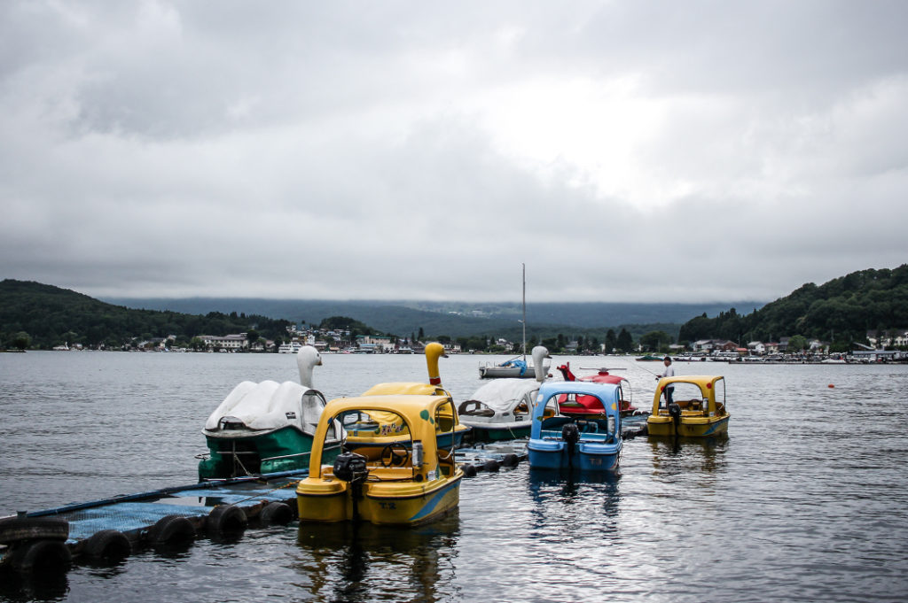 Swan boats docked and ready