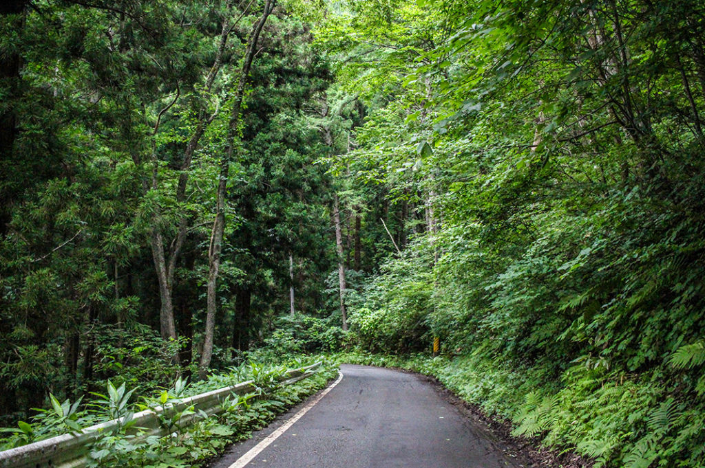 The 15km Lake Nojiri Loop Course offers quiet vistas, ancient trees and glimpses into rural life as you walk around an idyllic glacial lake.