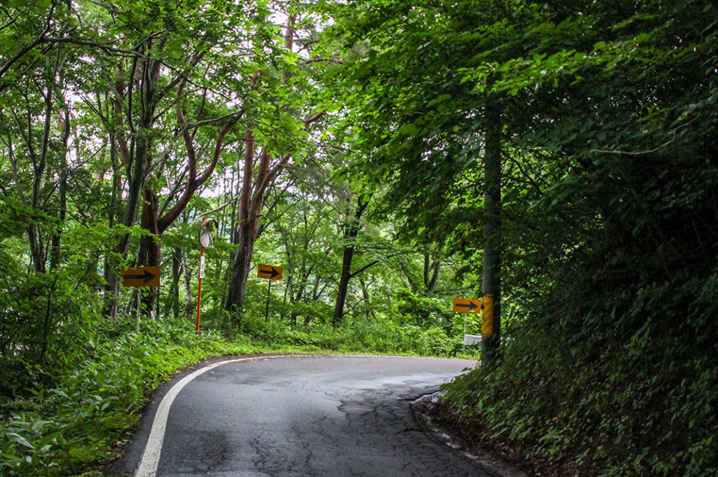 The 15km Lake Nojiri Loop Course offers quiet vistas, ancient trees and glimpses into rural life as you walk around an idyllic glacial lake.