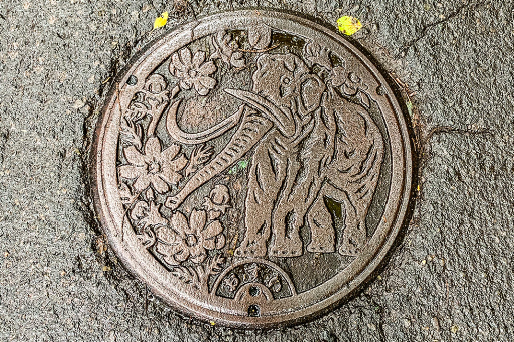 Japanese manhole cover art - Nojiri's Naumann Elephant