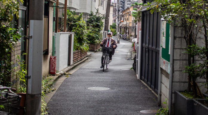 Experience Old-fashioned Tokyo on a Walking Tour Of Yanaka