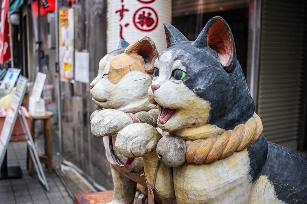 Cat images on the Yanaka walking tour