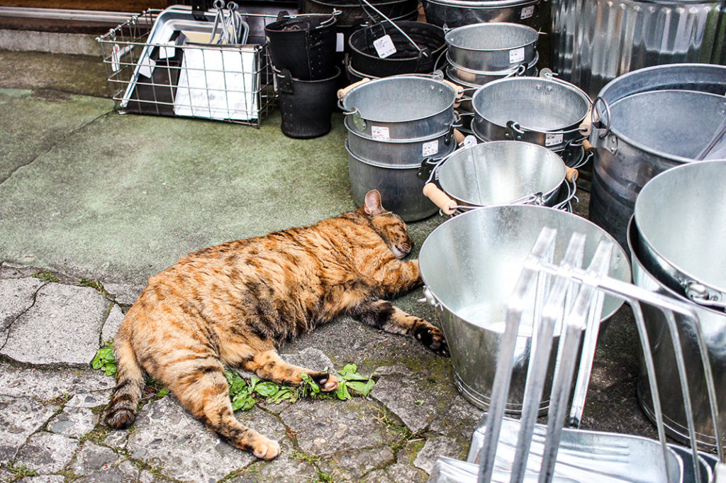 Yanaka is one of the best destinations for cat lovers in Tokyo