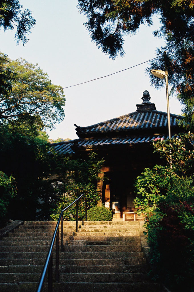 Keywords: Choraku-ji, Anyo-ji, forest, trees 