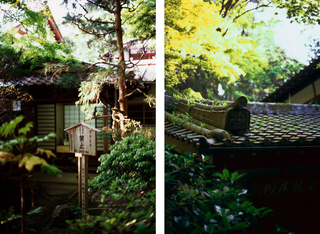 Keywords: Choraku-ji, Anyo-ji, forest, trees 
