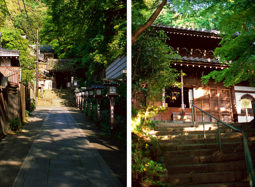 Keywords: Choraku-ji, Anyo-ji, forest, trees 